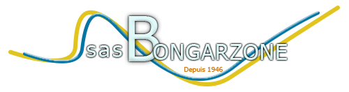BONGARZONE SAS : Carrières - Construction Béton - Travaux Publics